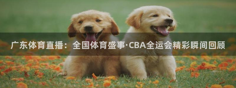 下载咪咕体育直播视频：广东体育直播：全国体育盛事·CBA全运会精彩瞬间回顾