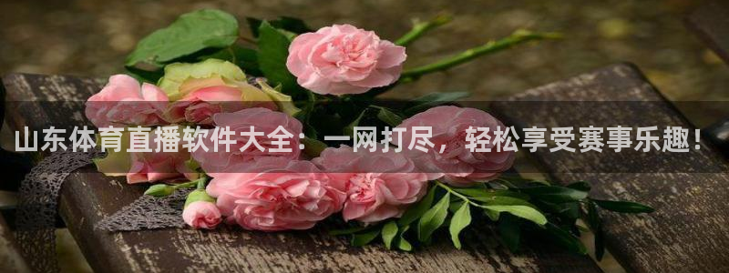 咪咕视频新版：山东体育直播软件大全：一网打尽，轻松享受赛事乐趣！