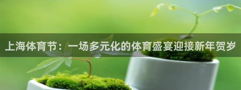 咪咕视频安装下载：上海体育节：一场多元化的体育盛宴迎接新年贺岁