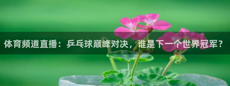 咪咕直播免费观看：体育频道直播：乒乓球巅峰对决，谁是下一个世界冠军？