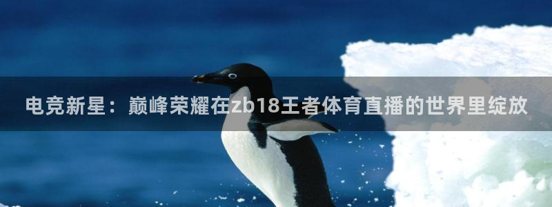 咪咕篮球直播：电竞新星：巅峰荣耀在zb18王者体育直播的世界里绽放